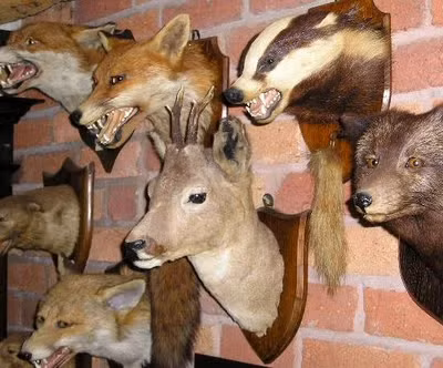 Những chiếc đầu chó sói thể hiện sự hung tợn đến đáng sợ.