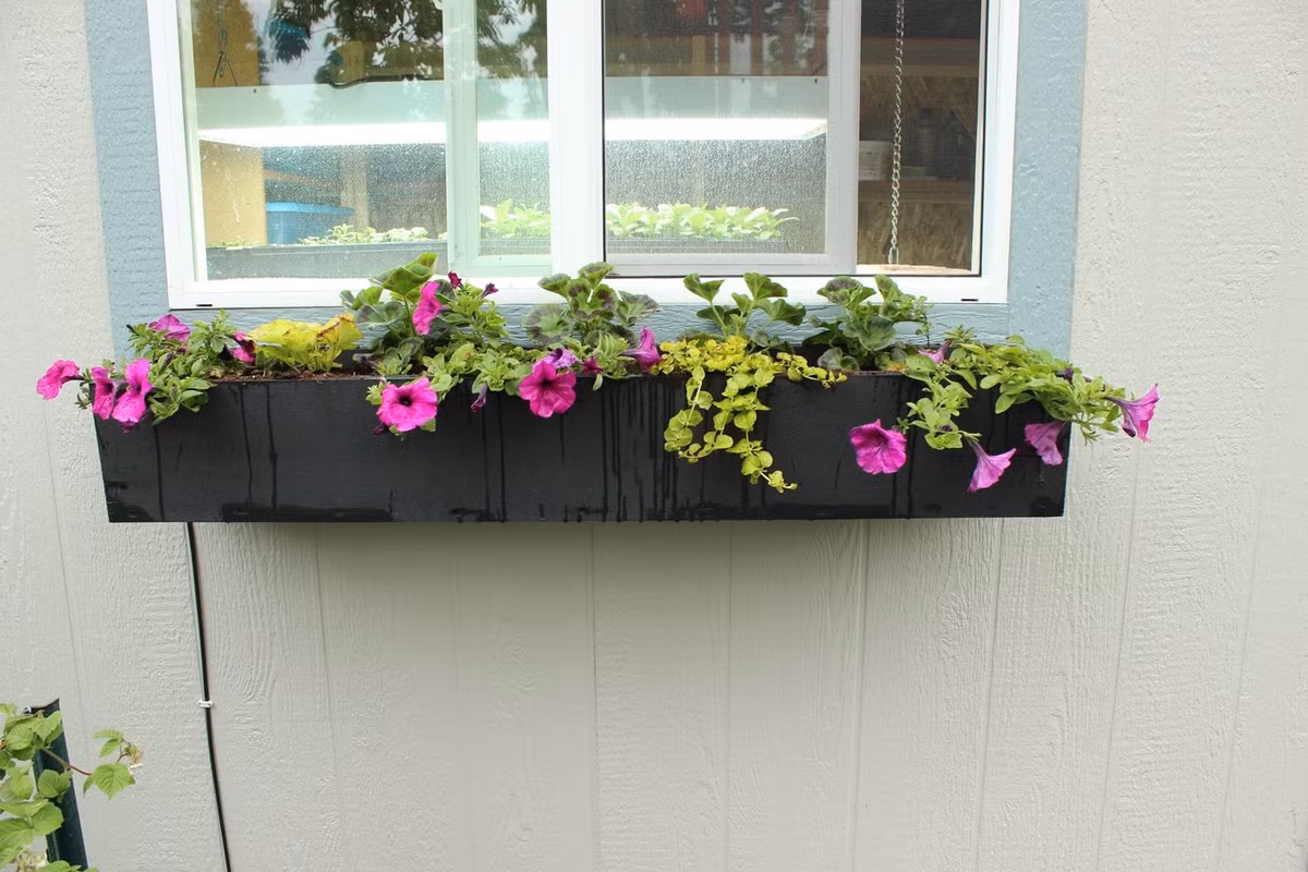 Chậu hoa trang trí cửa sổ tuyệt đẹp đã được hoàn thành.