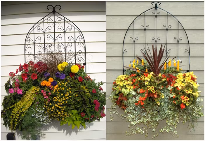 Một giỏ hoa nhiều màu sắc giúp ngôi nhà bạn nổi bật hơn bao giờ hết.