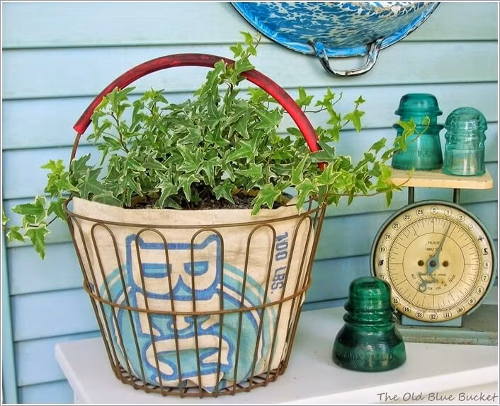 Chỉ cần đổ đất vào vật dụng cũ và trồng các loài cây yêu thích của mình là bạn đã có một chậu trồng hoa ấn tượng.