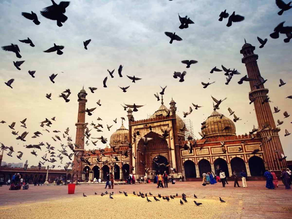 4. Delhi, Ấn Độ: 169 USD/đêm.