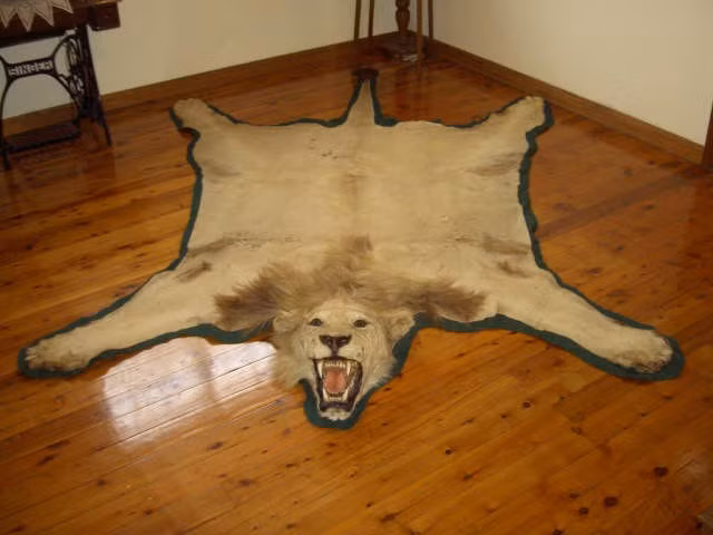 Thảm hình chú sư tử rùng rợn.