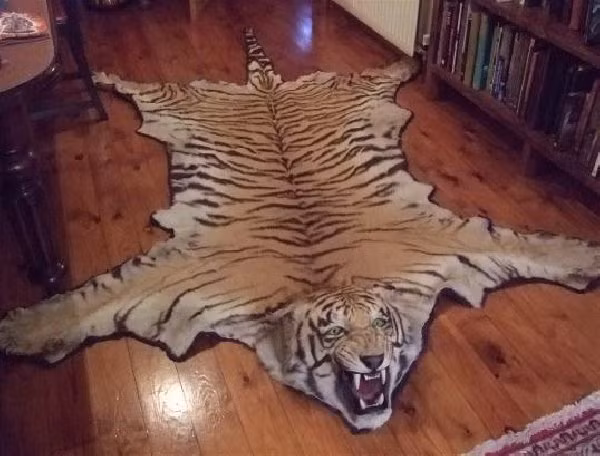 Thảm trải sàn hình con hổ.