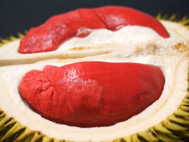 Ruột quả sầu riêng có màu đỏ đậm như ruột của trái gấc, hạt của nó giống như hạt mít, phần múi mỏng và khô hơn giống sầu riêng ruột vàng.