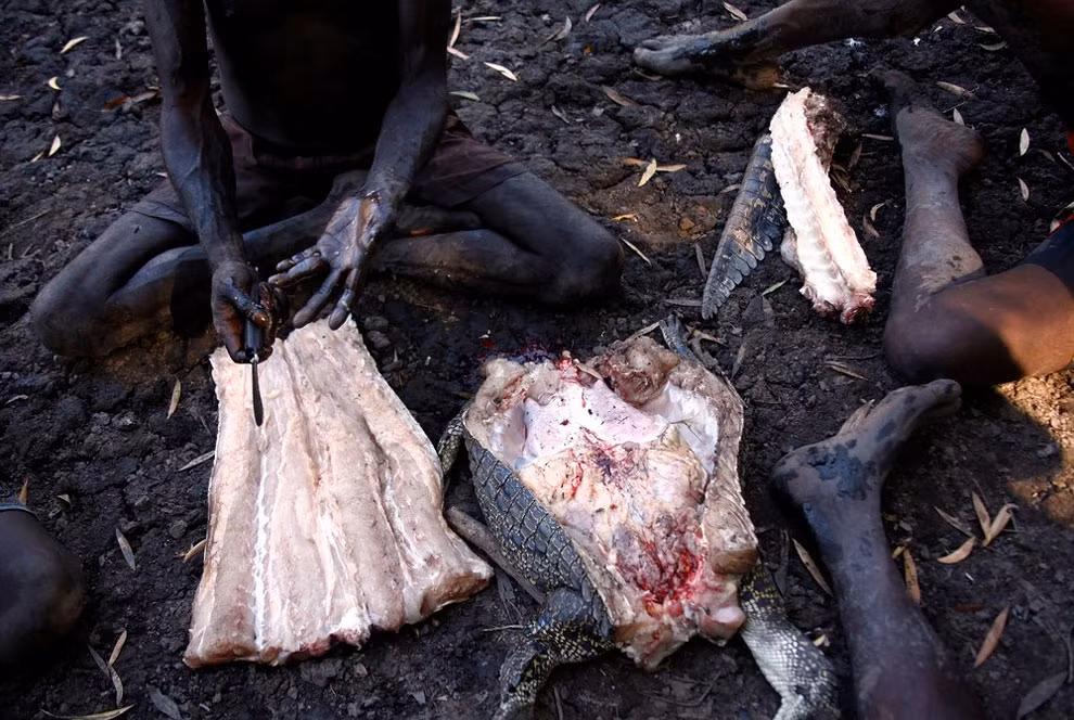 Không giống các thợ săn cá sấu nơi khác rất coi trọng bộ da để bán cho những công ty sản xuất thời trang xa xỉ, người Yolngu chỉ lấy thịt và những thứ có ích đối với họ.