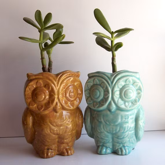 Chậu hoa hình cú mèo xinh xắn.