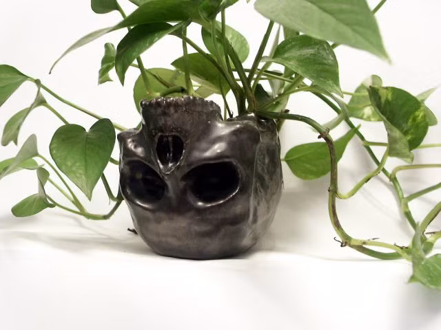 Chiếc chậu hoa đầu lâu xương sọ màu đen khá đáng sợ.