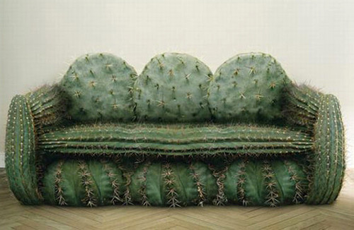 Thoạt nhìn, bạn chắc chắn sẽ lầm tưởng chiếc ghế kỳ dị này được làm từ những cây xương rồng nhưng thật ra đây là một chiếc sofa rất êm ái.