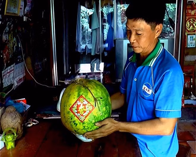 Trái dưa hấu lạ để 9 tháng vẫn tươi trong nhà anh Quới.