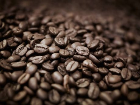 Cà phê: Cà phê là một trong những thực phẩm không nên để trong tủ lạnh vì sự thay đổi nhiệt độ tức thời làm độ ẩm trong cà phê bị mất đi do đó làm mất hương vị, khi uống sẽ không còn thơm ngon. Vì thế, bạn nên lưu trữ cà phê ở nơi thoáng mát để giữ hương vị và mùi thơm của chúng.