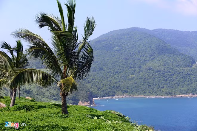 Vẻ bình yên nơi đây hút hồn mỗi khi du khách đến với Sơn Trà. Dù nắng nóng lên đến 38 độ C, thời tiết vẫn dễ chịu nhờ gió biển.