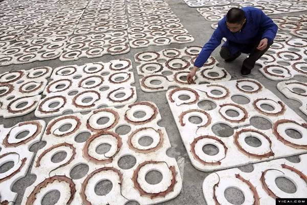 Người ta phơi cả rắn khô để bán phục vụ Tết.