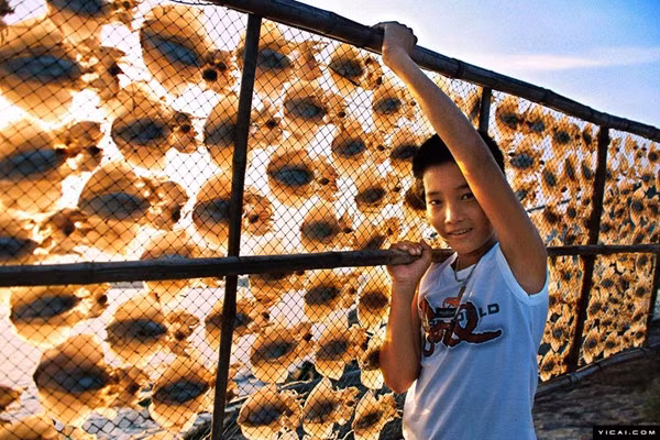 Mực khô cũng được xem là món không thể thiếu trên bàn nhậu dịp Tết.