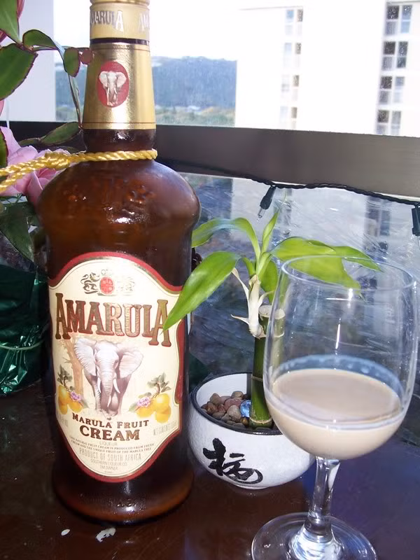 Loại rượu Amarula đặc biệt được làm từ trái Marula.