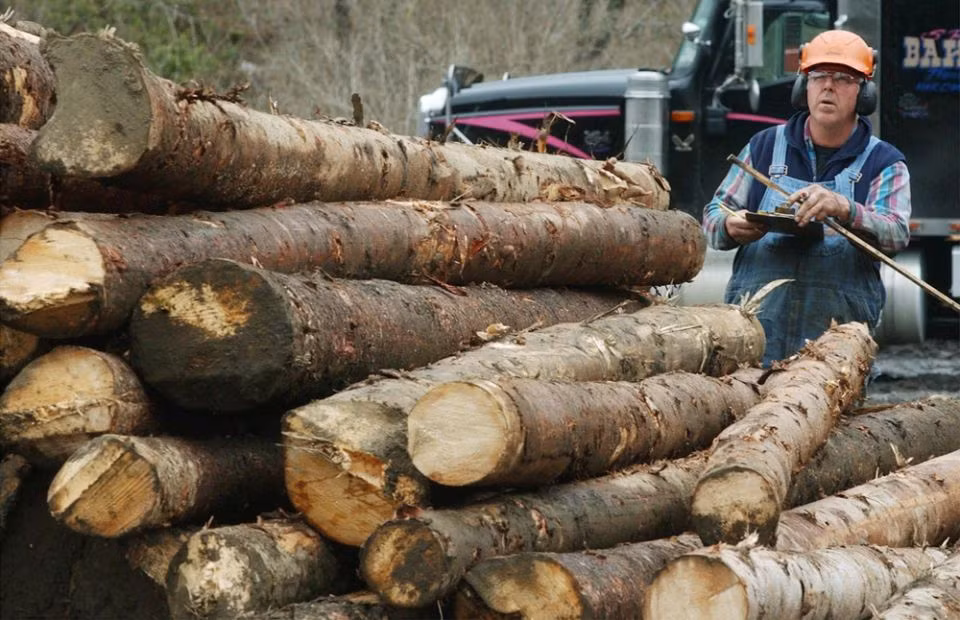 Bi mat cua nhung cong viec toi te nhat nam 2015