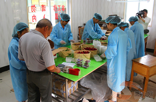 ... Hoặc đóng hộp để xuất khẩu.