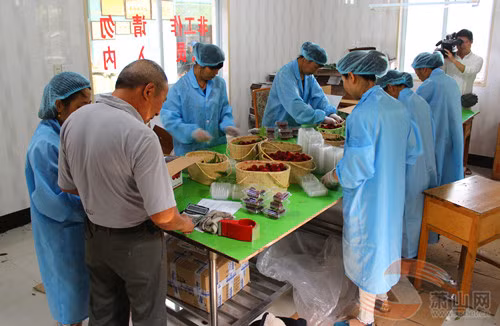 ... Hoặc đóng hộp để xuất khẩu.