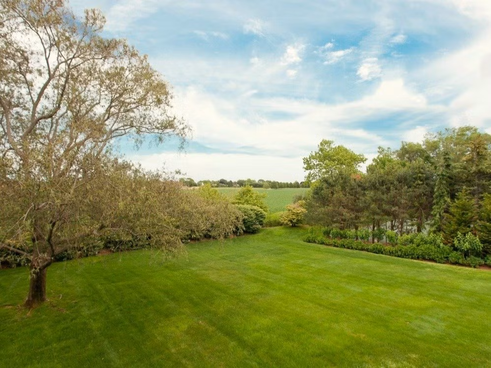 Sân cỏ xung quanh nhà đều được cắt tỉa cẩn thận.