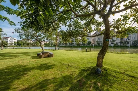 Tan mat ban tiec kim cuong giua khu do thi Vinhomes Riverside-Hinh-8