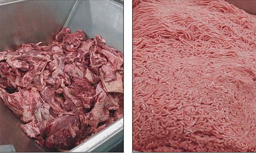 Để cung cấp hàng chục triệu bánh burger mỗi ngày, McDonald’s đã tổ chức hàng loạt nhà máy sản xuất thịt bò khổng lồ được kiểm soát và vận hành theo đúng tiêu chuẩn của hãng.