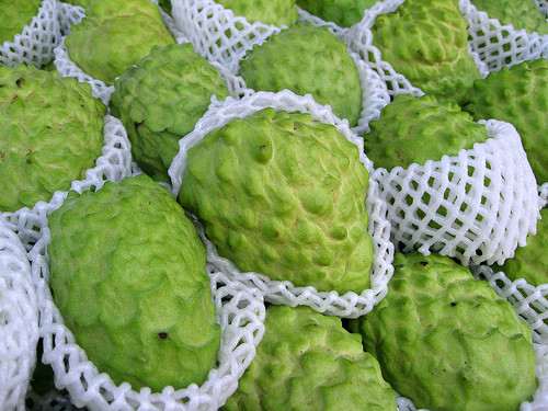 Những trái na căng chín sẽ được đóng hộp bán ra thị trường.