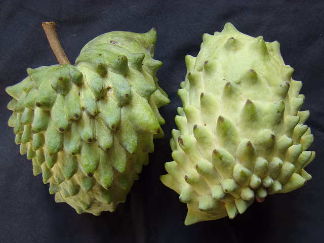 Quả Atemoya có vỏ với nhiều "mắt" nhỏ mấp mô. Thịt quả Atemoya mềm, nhiều nước, ngọt và hơi chát.