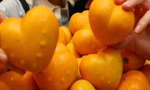 Tròn mắt ngắm cam vàng hình trái tim - Hình 9 Tron mat ngam cam vang hinh trai tim-Hinh-9