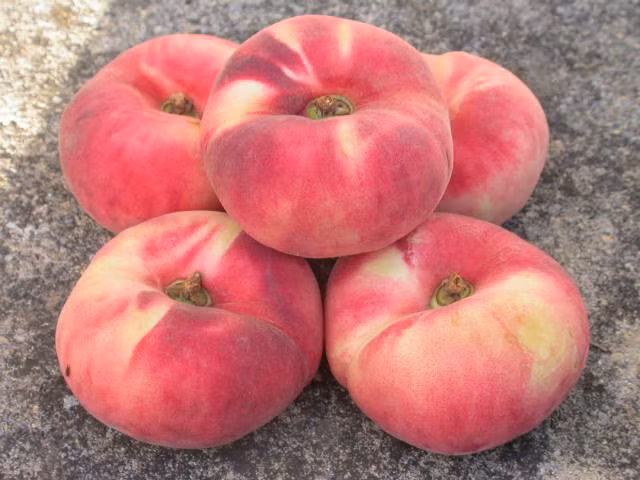 Ngoài ra, giống đào này cũng được xuất khẩu sang các thị trường lớn như Mỹ.