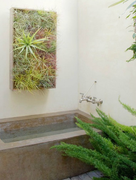 Bức tranh cây xanh treo tường nhà tắm bố trí gần bồn tắm vừa giúp thanh lọc không khí vừa làm đẹp không gian.