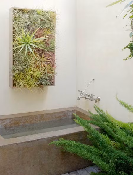 Bức tranh cây xanh treo tường nhà tắm bố trí gần bồn tắm vừa giúp thanh lọc không khí vừa làm đẹp không gian.