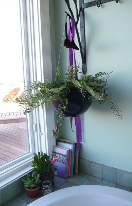 Những chậu cây hoa đá nhỏ và giỏ cây treo trong nhà tắm cũng giúp không gian thoáng mát hơn nhiều.