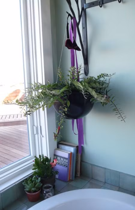 Những chậu cây hoa đá nhỏ và giỏ cây treo trong nhà tắm cũng giúp không gian thoáng mát hơn nhiều.