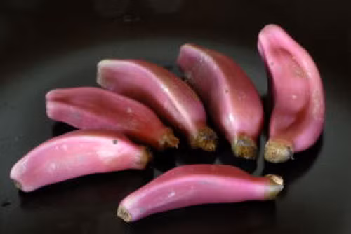 Những quả chuối hồng trông khá hấp dẫn và ngon mắt.