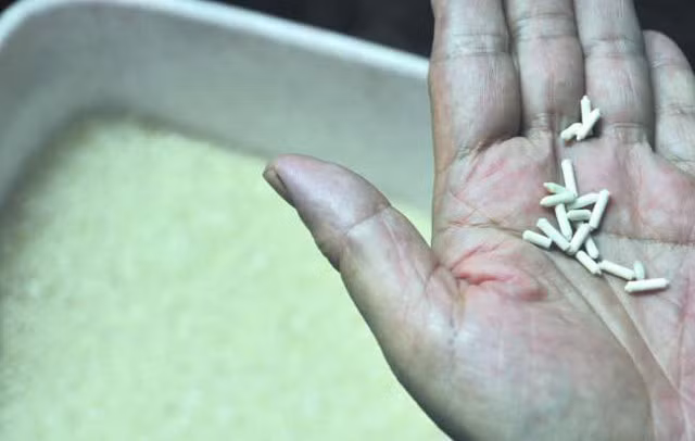 Choang vang phat hien gao gia Trung Quoc lam bang giay-Hinh-2