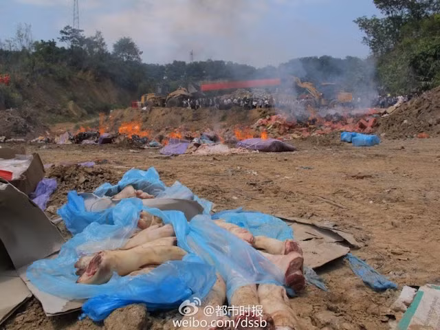 Họ đã đổ xăng lên hàng trăm tấn thịt đông lạnh rồi thiêu chúng thành tro bụi. Tổng số thịt đông lạnh bị tiêu hủy trị giá lên tới 13 triệu NDT.