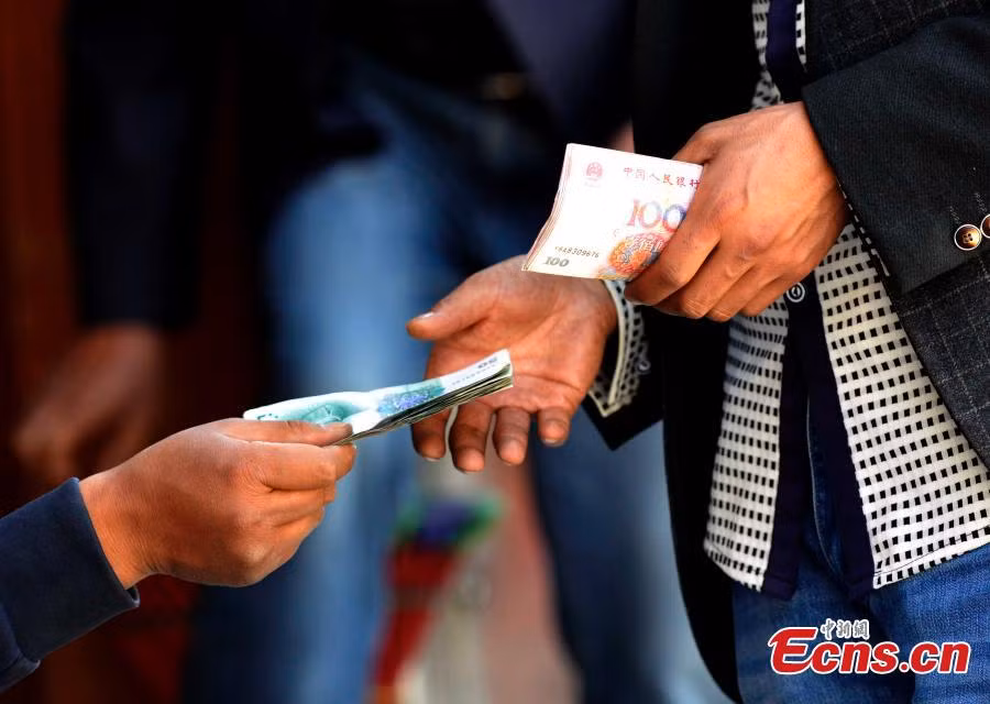 Theo China News đưa tin, giá đông trùng hạ thảo ở Tây Tạng năm nay thấp hơn so với cùng kỳ năm ngoái.