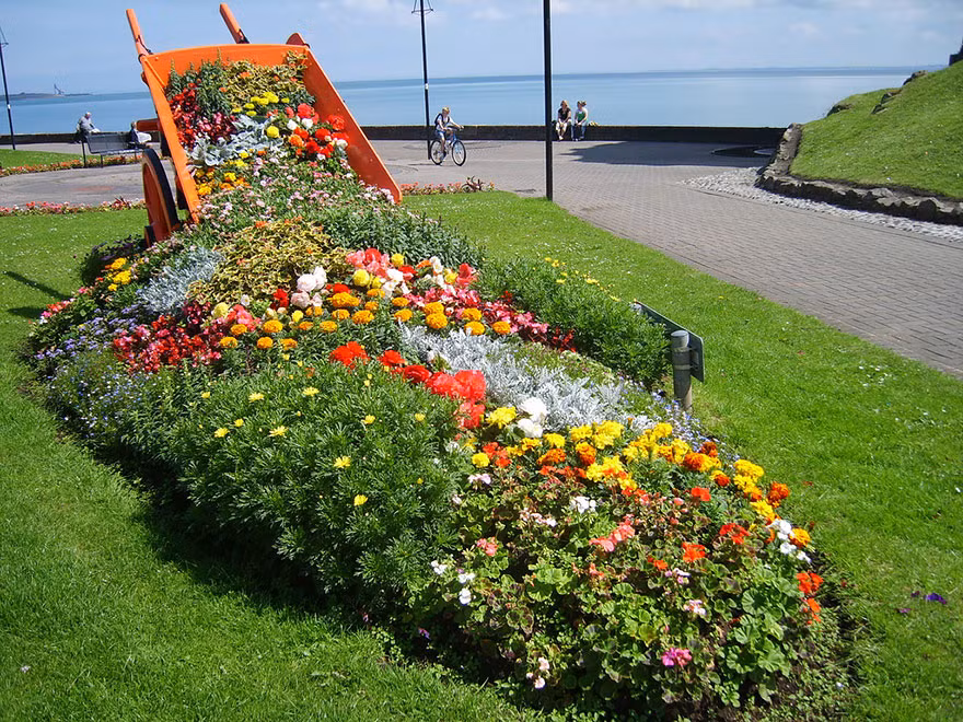 Sân vườn bạn nổi bật hơn với những khóm hoa lạ mắt được trồng một cách khác biệt.