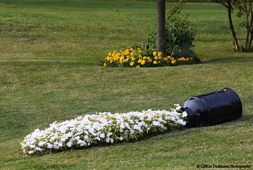 Chỉ cần sắp đặt một chút, bạn có thể khiến sân vườn ấn tượng hơn với bình hoa trang trí.