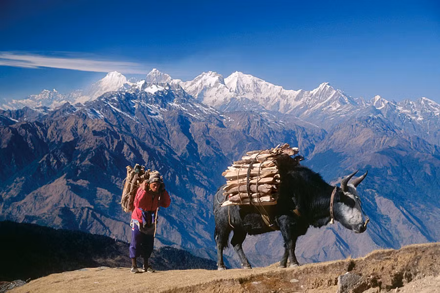 Theo số liệu năm 2012, nông nghiệp là phương tiện mưu sinh của 76% dân số Nepal và chiếm khoảng 39% tổng sản phẩm quốc nội; dịch vụ chiếm 41% và công nghiệp 22%. Hai phần ba địa hình đồi núi nằm ở phía bắc đất nước khiến việc xây dựng đường xá và các cơ sở hạ tầng khác gặp nhiều khó khăn và tốn kém chi phí.