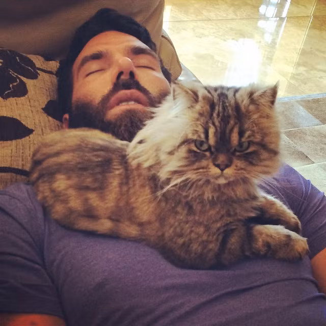 Hai con vật cưng của ông hoàng Dan luôn được hưởng sự chăm sóc tốt nhất từ chủ nhân.