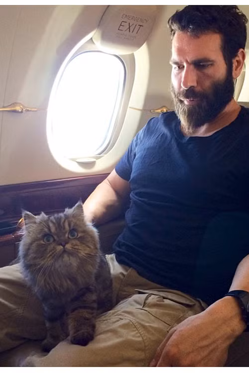 Chú mèo ngoan ngoãn đi chuyển cùng chủ nhân trên chuyên cơ.