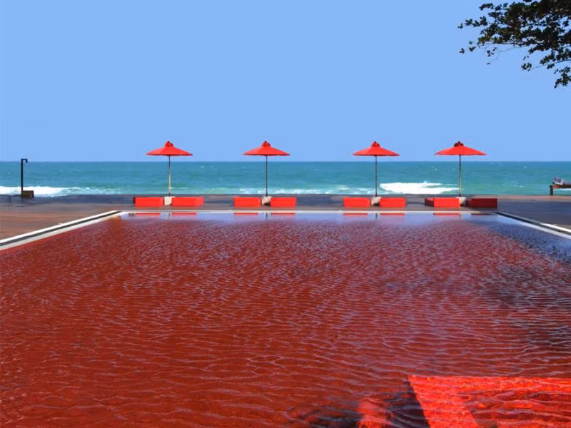 Hồ bơi có nước đỏ như màu máu là cách mà nhà quản lý tại khách The Library thu hút du khách đến đây.