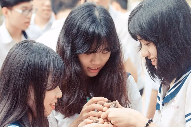 Theo đại diện nhà trường Lương Thế Vinh, việc phóng sinh, ngoài những ý nghĩa to lớn theo quan điểm của nhà Phật, còn mang ý nguyện của thầy cô gửi đến học trò, mong bạn trẻ hướng tới cái thiện ở đời, làm những điều tốt hơn cho chính mình và người xung quanh.