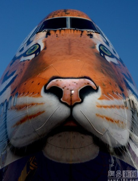 Qua hình ảnh con hổ trên đầu máy bay, hãng hàng không của Nga hy vọng sẽ thu hút sự chú ý của cộng đồng quốc tế và người dân Nga về các vấn đề bảo vệ môi trường cũng như bảo tồn các loài động vật quý hiếm có nguy cơ tuyệt chủng.