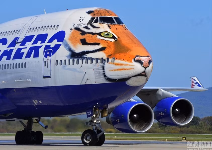 Chiếc máy bay hình đầu hổ là một dự án hợp tác của Trung tâm bảo tồn hổ quý hiếm Amur và hãng Transaero Airlines.