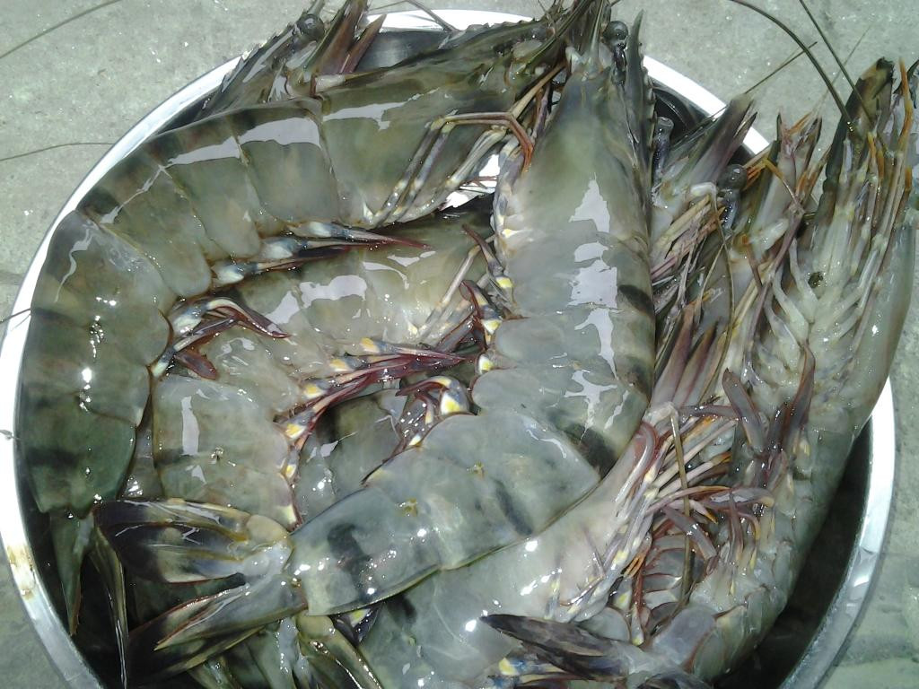 3. Tôm xào sấu. Nguyên liệu: Tôm sú, sấu tươi, đường, hạt nêm, ớt chuông xanh, đỏ, vàng, tương ớt, ớt băm, tỏi xay, dầu ăn. Tôm bóc vỏ, giữ lại đuôi tôm, bỏ phần chỉ lưng. Gọt vỏ sấu, rửa sạch, để ráo, ớt chuông cắt miếng vuông vừa ăn. Ảnh: tapchitaichinh.vn.