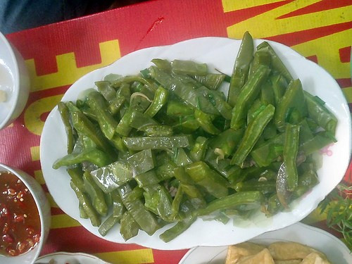 Xương rồng luộc: Xương rồng luộc xong vắt ráo nước đem xào với mỡ, nêm thêm muỗng nước mắm... sẽ rất ngon.