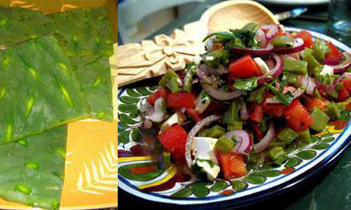 Salad xương rồng cũng rất dễ ăn. Với món này nên chọn những ngọn xương rồng non. Sau đó, lấy dao gọt hết vỏ, hết gai xương rồng. Cắt lá ra thành những miếng nhỏ hạt lựu. Tiếp tục cho vào nồi nước và đun sôi khoảng 20 phút. Ảnh: baomoi.com.