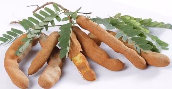 3. Me xanh ngâm đường chua ngọt. Nguyên liệu: Me trái, đường cát, muối hạt. Tiến hành pha nước với muối hạt theo tỉ lệ 1:2 và cho vào 1 xoong to. Tiếp đó, ta cho me sống vào nấu với nhiệt độ vừa vừa chờ cho sôi. Cứ để ngâm me ở nước nóng đến khi nước hết nóng thì lấy ra bóc vỏ. Ảnh: loichuchaynhat.com.