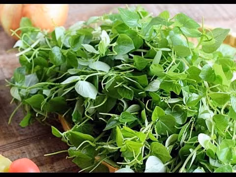 1. Rau càng cua xào tỏi. Nguyên liệu: Rau càng cua, tỏi, gia vị mắm, muối, hạt nêm. Rau càng cua rửa sạch và ngâm nước muối loãng khoảng 15 phút sau đó lấy ra để ráo nước. Tỏi bóc vỏ, băm nhỏ. Ảnh: youtube.com.